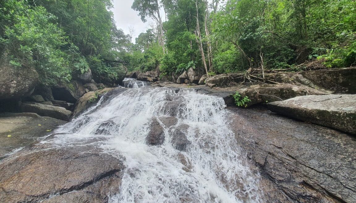 Trilha Ecológica Cachoeira do Evandro